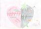 test4_002-2.jpg