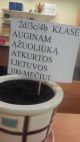 20171121_100508.jpg